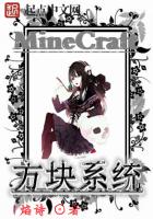 Minecraft方块系统